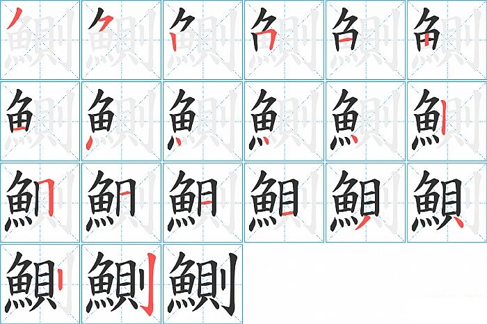 鰂的笔顺分步演示图