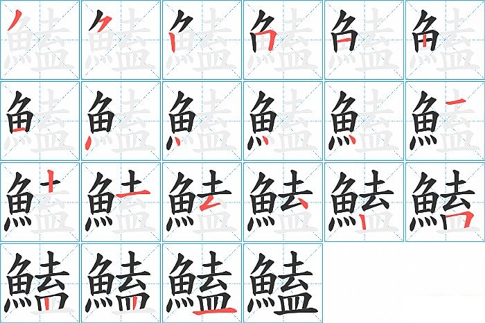 鰪的笔顺分步演示图