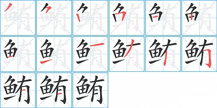 鲔的笔顺分步演示图