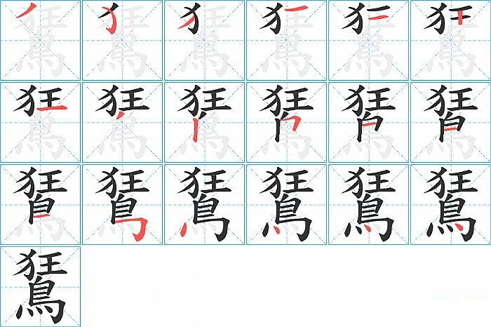 鵟的笔顺分步演示图