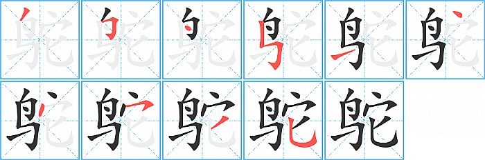 鸵的笔顺分步演示图