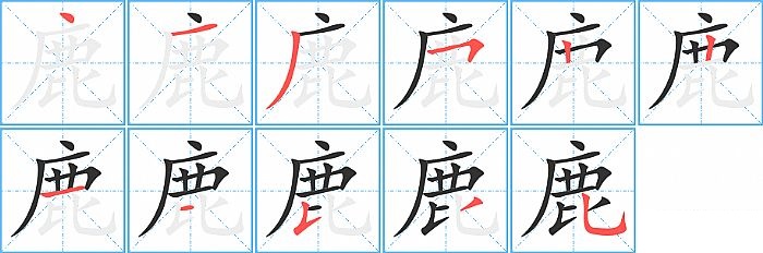 鹿的笔顺分步演示图